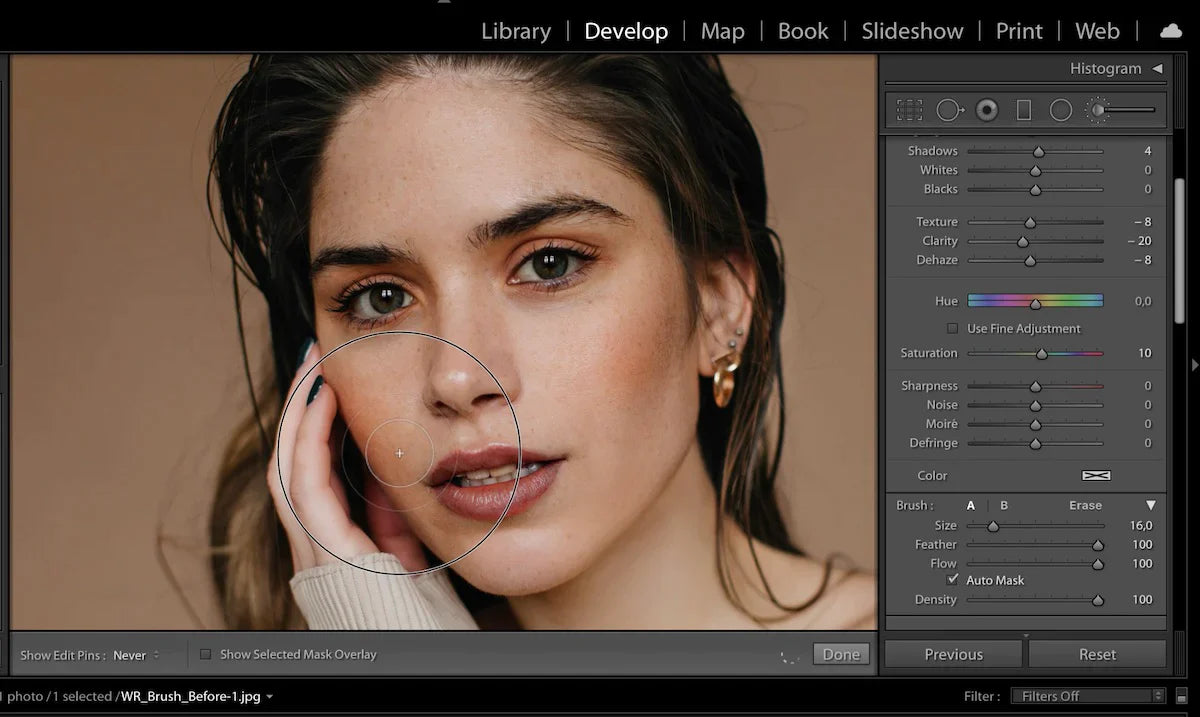 adjustment brushes for portraits