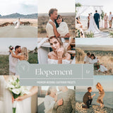 Wedding ALL Presets Bundle | + AI Toolkit