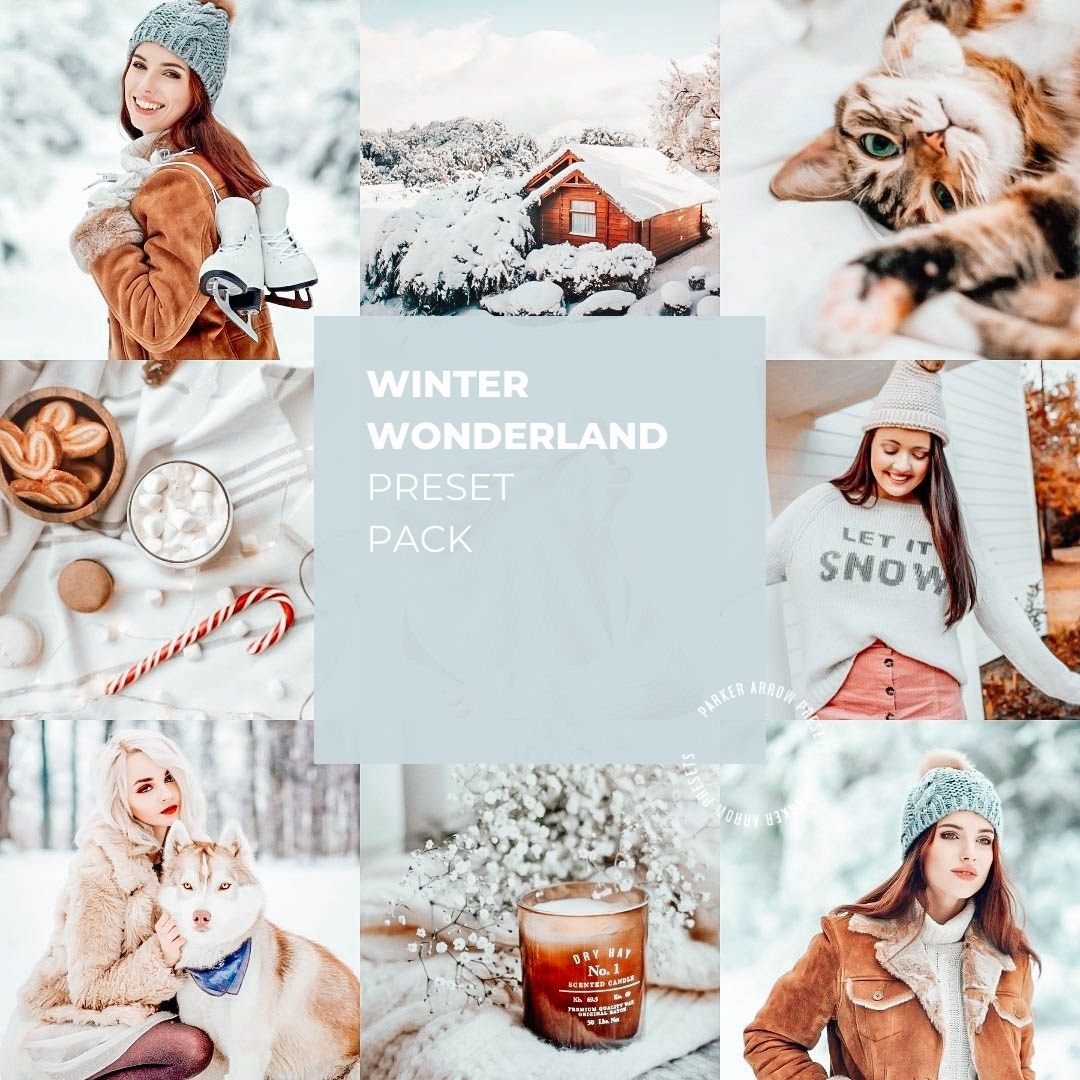 Winter Presets for LR Mobile