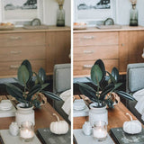 interior photography filters for Instagram